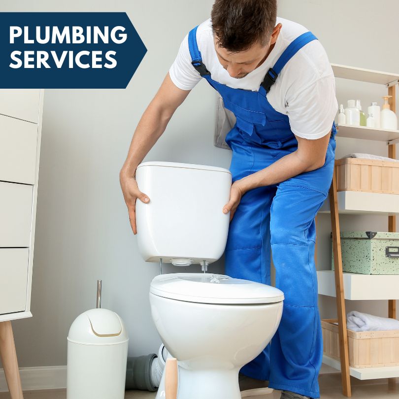 Plumbing Company in Mount Lemmon, AZ